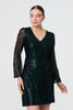 Green | Sequin Semi Sheer Long Sleeve Mini Dress
